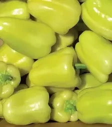 Семена перца Блонди F1, п.е. 500 семян (Syngenta)