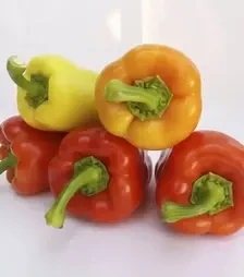 Семена перца Яника F1, п.е. 500 семян (Kitano Seeds)