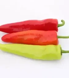 Насіння перцю Кампай F1, п.о. 1 тис. насінин (Kitano Seeds)