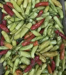 Насіння перцю Дедо F1, п.о. 500 насінин (Spark Seeds)