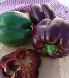 Насіння перцю Інгрід, 1 кг (Moravoseed)