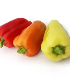 Насіння перцю Яніка F1, п.о. 1 тис. насінин (Kitano Seeds)