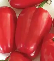 Насіння перцю Антей, п.о. 10 тис. насінин (Nasko)