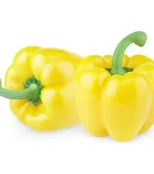 Насіння перцю Іланга F1, п.о. 1 тис. насінин (Rijk Zwaan)