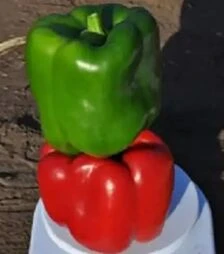 Насіння перцю Карісма F1, п.о. 1 тис. насінин (Clause)