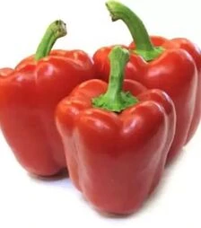 Насіння перцю Крімсон Кінг F1 Hazera, п.о. 250 насінин (Hazera)