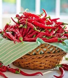 Насіння перцю Піноккіо F1, п.о. 1 тис. насінин (United Genetiks)