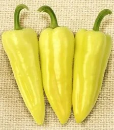 Насіння перцю Призма F1, п.о. 500 насінин (NongWoo Bio)