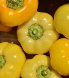 Семена перца Яблина F1, п.е. 1 тыс. семян (Semo)