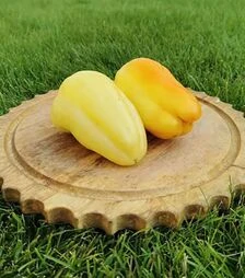 Семена перца Айпон F1, п.е. 1 тыс. семян (Innova Seeds)