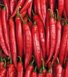 Семена перца Хайфи F1, п.е. 500 шт семян (Enza Zaden)