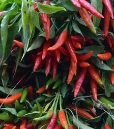 Насіння перцю Хай Флай F1, п.о. 500 насінин (NongWoo Bio)