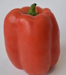 Насіння перцю Крімсон Кінг F1 Hazera, п.о. 1 тис. насінин (Hazera)