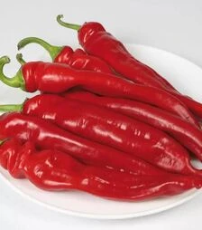 Насіння перцю КС 6215 F1, п.о. 500 насінин (Kitano Seeds)