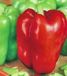 Насіння перцю Ожаровський, 50 г (Moravoseed)