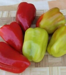 Насіння перцю Єва, 50 г (Moravoseed)