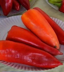 Насіння перцю Монанта, 50 г (Moravoseed)