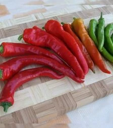 Насіння перцю Посейдон, 25 г (Moravoseed)