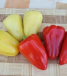 Насіння перцю Злата, 50 г (Moravoseed)