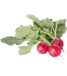 Семена редиса Валери F1, п.е. 25 тыс. семян, 2,25-2,5 калибр (Rijk Zwaan)
