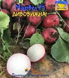 Насіння редису Марвел F1, п.о. 10 тис. насінин (Spark Seeds)