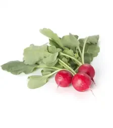 Семена редиса Валери F1, п.е. 25 тыс. семян, 2,5-2,75 калибр (Rijk Zwaan)