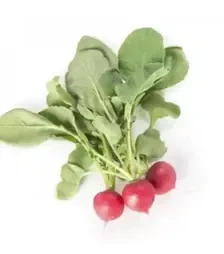 Насіння редису Белсей F1, п.о. 25 тис. насінин, 3,0-3,25 калібр (Rijk Zwaan)