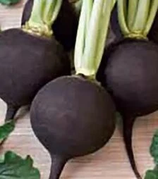 Насіння редису Кругла чорна, 500 г (Satimex)