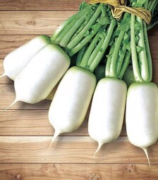 Семена редиса Спринг Фейвор F1, п.е. 10 тыс. семян (NongWoo Bio)