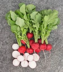 Насіння редису Роксан F1, п.о. 50 тис. насінин, 2,5-2,75 калібр (Bejo)