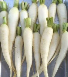 Семена редиса Рампоуч, 1 кг (Semo)