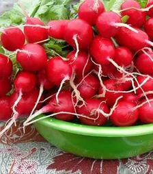 Семена редиса Марта, 5 кг (Nasko)