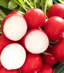 Насіння редису Бодіам F1, п.о. 25 тис. насінин, 2,75-3,5 калібр (Rijk Zwaan)