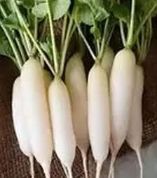 Семена редьки ТИ-150 F1, 100 г (Takii Seed)