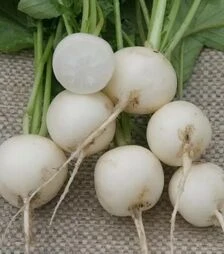 Насіння редису Бланка, 250 г (Semo)