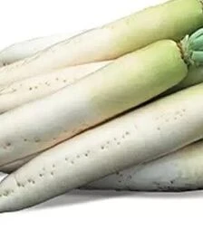 Семена редьки Титан, 250 г (Kitano Seeds)