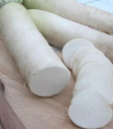 Насіння редьки Алабастер F1, 1 кг (Moravoseed)