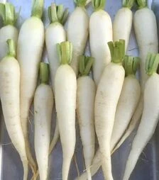 Насіння редису Рампоуч, 250 г (Semo)