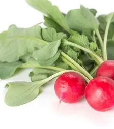 Семена редиса Валери F1, п.е. 25 тыс. семян, 2,75-3,0 калибр (Rijk Zwaan)