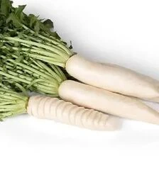 Семена редьки Сноубьорд F1, п.е. 10 тыс. семян (Sakata)