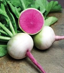 Семена редьки Мисато Роуз Флеш, п.е. 10 тыс. семян (Sakata)