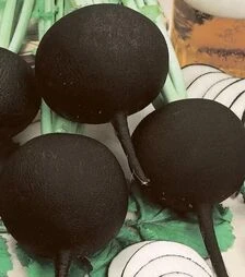 Насіння редьки Черная кулата, 250 г (Semo)