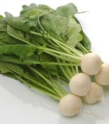 Насіння ріпи Токіо Топ F1, 100 г (Sakata)