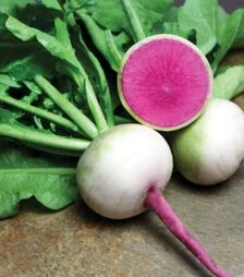 Семена редьки Мисато Роуз Флеш, п.о. 500 семян (Sakata)