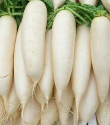 Семена редьки Чимборазо (Ти-150) F1, 100 г (Takii Seeds)