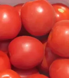 Семена томата Солероссо F1, п.е. 1 тыс. семян (Nunhems)