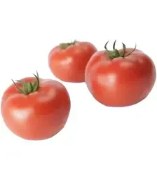 Насіння томату Дофу F1, п.о. 100 насінин (Rijk Zwaan)