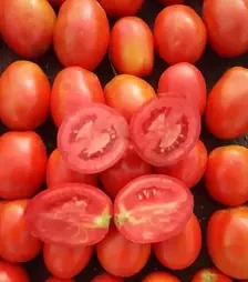 Насіння томату Рекордсмен F1, п.о. 1 тис. насінин (Libra Seeds)