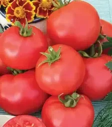 Семена томата Баллада, 500 г (Nasko)