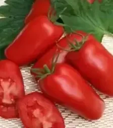 Семена томата Рева F1, п.е. 250 семян (Hazera)